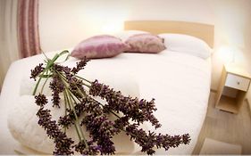 Apartmani Murtilica